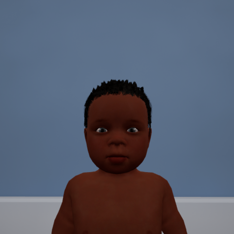 NalaW Passport Design