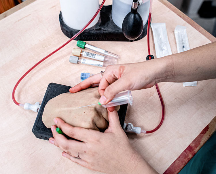 Hands practicing venipuncture on a task trainer with simulated veins and blood flow, surrounded by syringes and medical supplies.